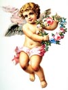 cupid 12